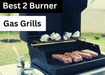 Best-2-burner-gas-grill